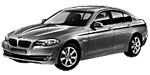 BMW F10 P3132 Fault Code